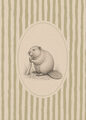 Image Not Available